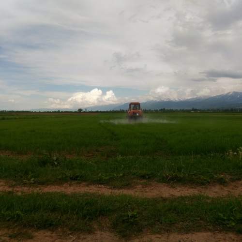 Photo #10044817