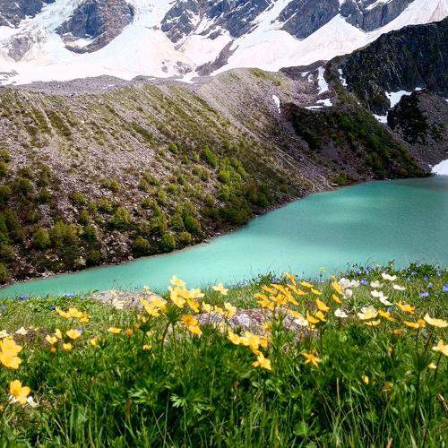 Photo #10044845