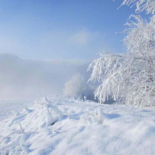 Photo #10044860