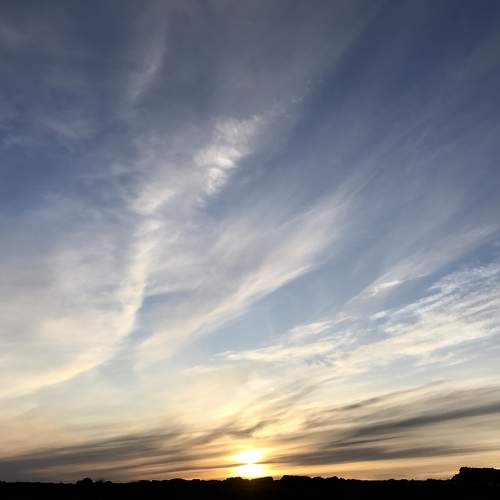 Фотография #10044931