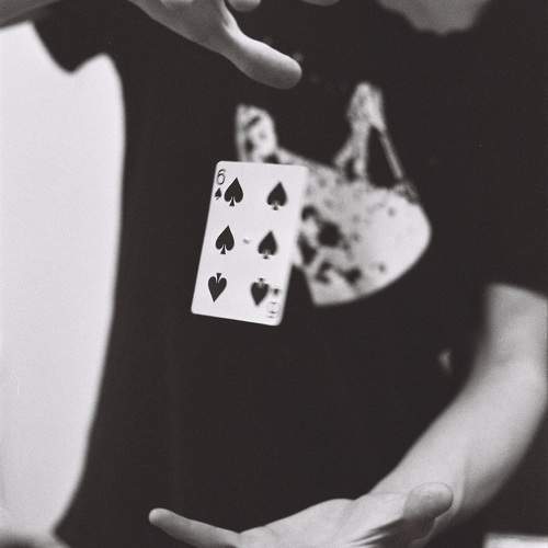 Photo #10045267