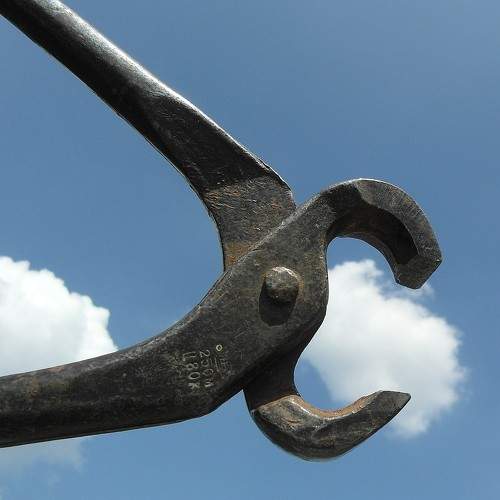 Photo #10045442