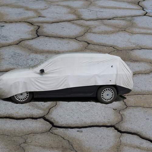 Photo #10045498