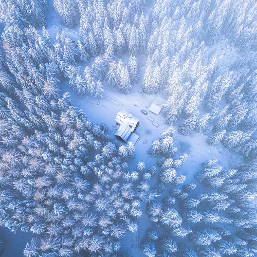 Photo #10045513