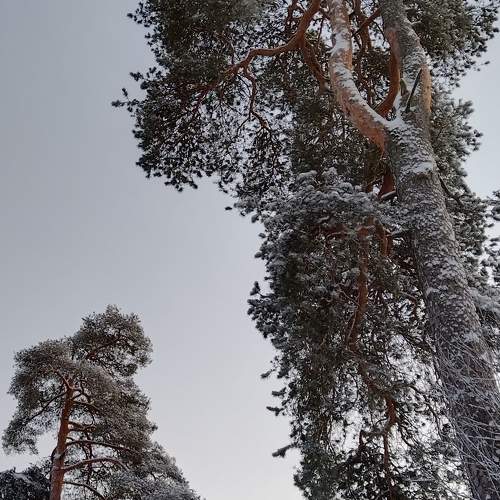 Photo #10045578