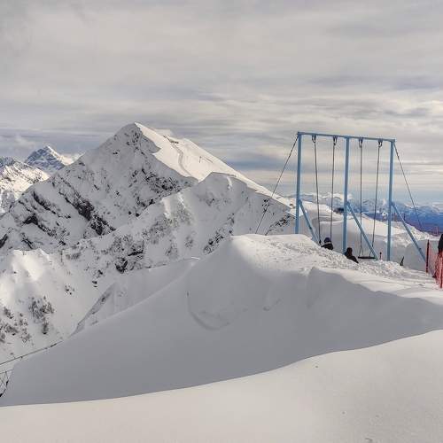 Photo #10045747