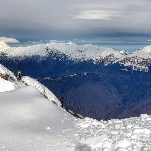 Photo #10045748