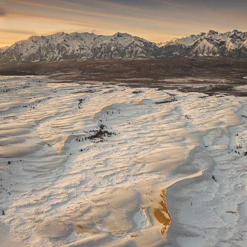 Photo #10045762