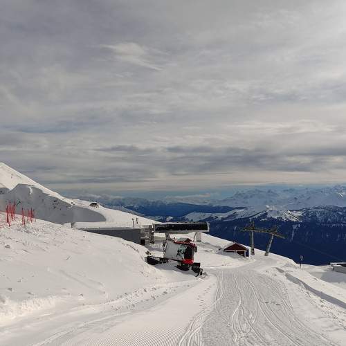 Photo #10045768