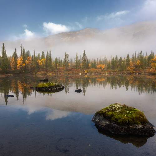 Фотография #10046437