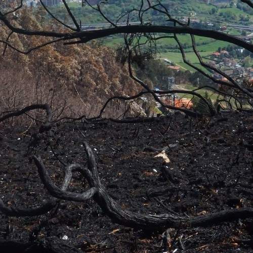 Charred earth_02
