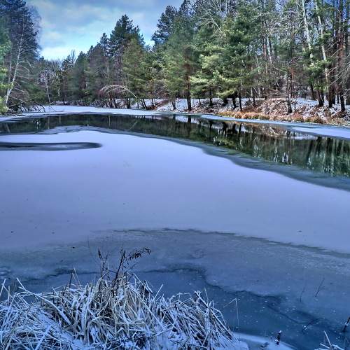 Photo #10046546