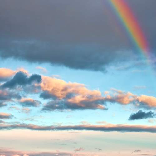 Photo #10046667