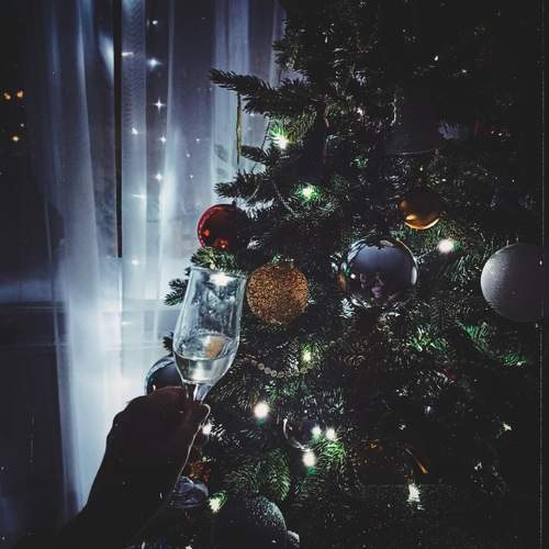Photo #10047073