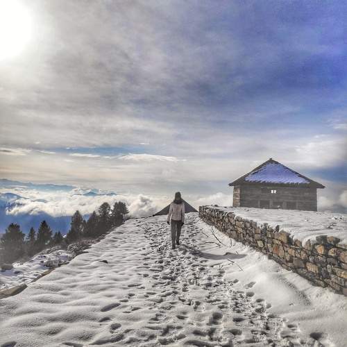 Photo #10047241
