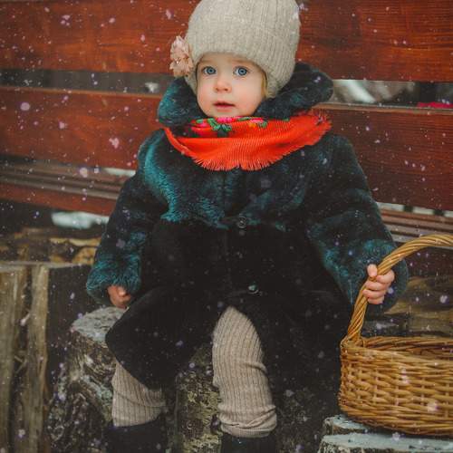 Photo #10047405