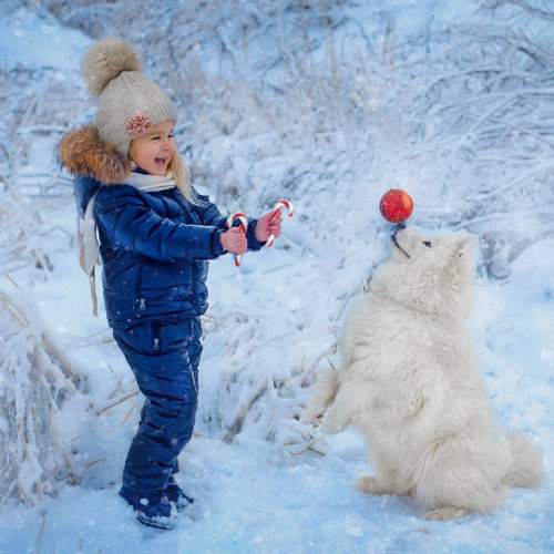 Photo #10047414