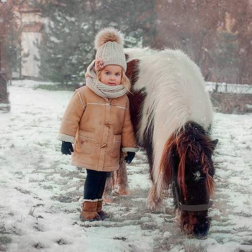 Photo #10047420