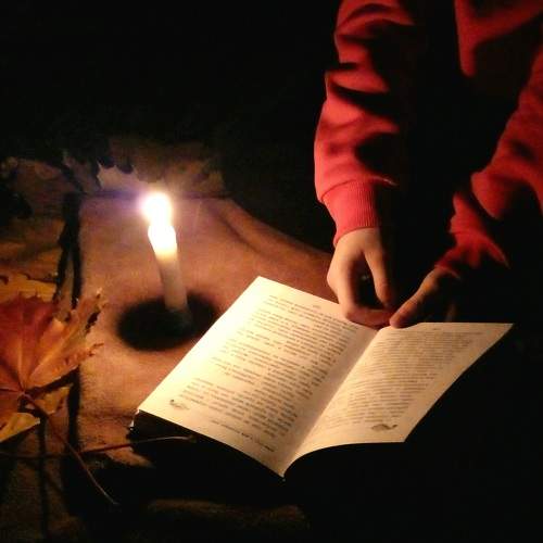 Photo #10047421