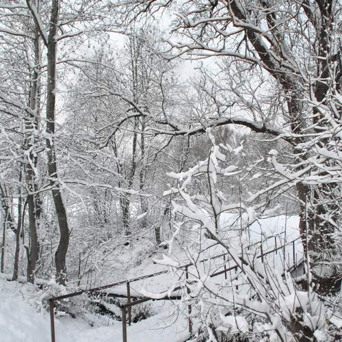 Photo #10047442