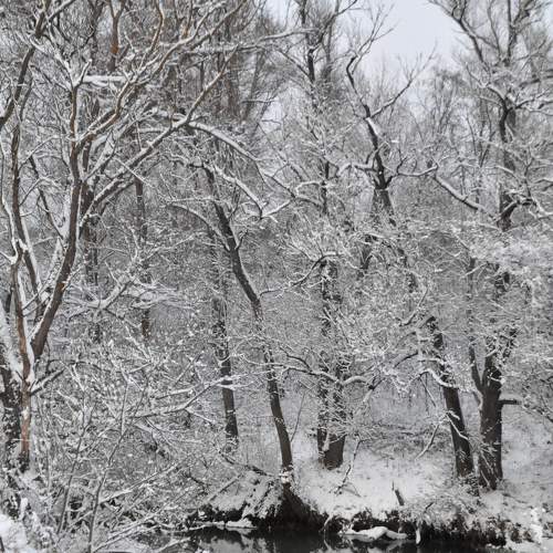 Photo #10047448