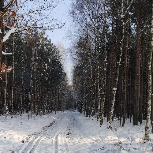 Photo #10047476