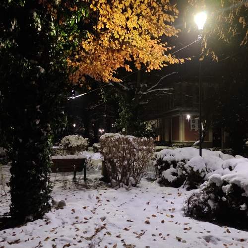 Photo #10047483