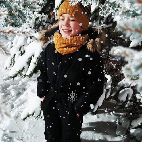 Photo #10047538
