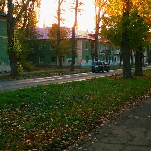 Photo #10047635