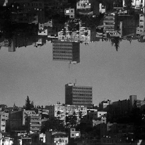 Photo #10047696