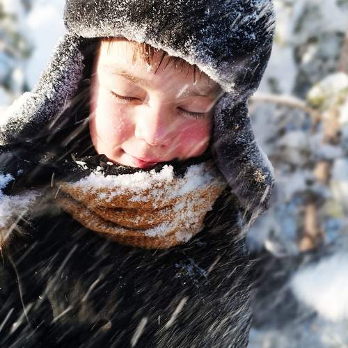 Photo #10047877