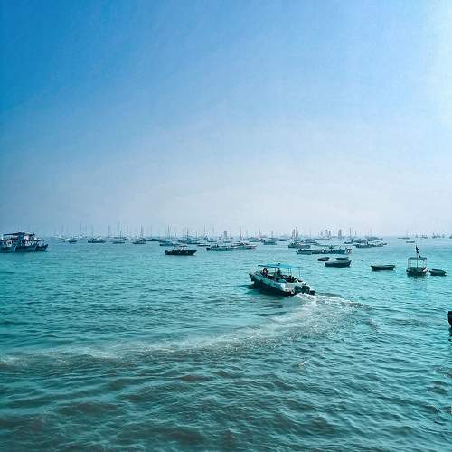 Photo #10048071