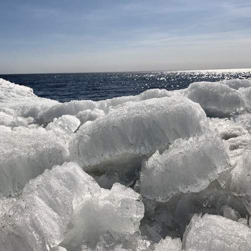 Photo #10048369