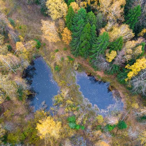 Photo #10048999
