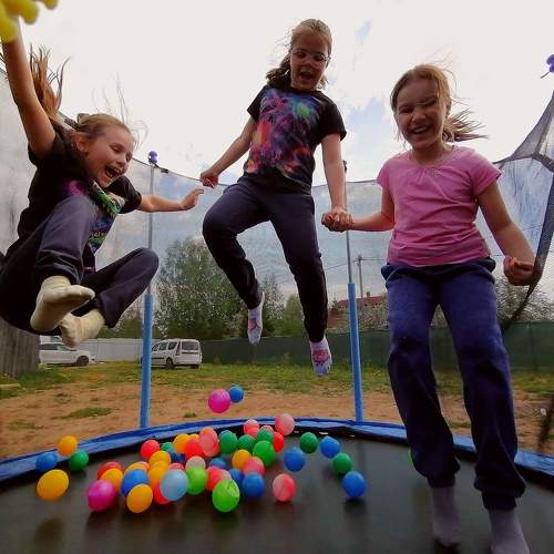 Photo #10049391