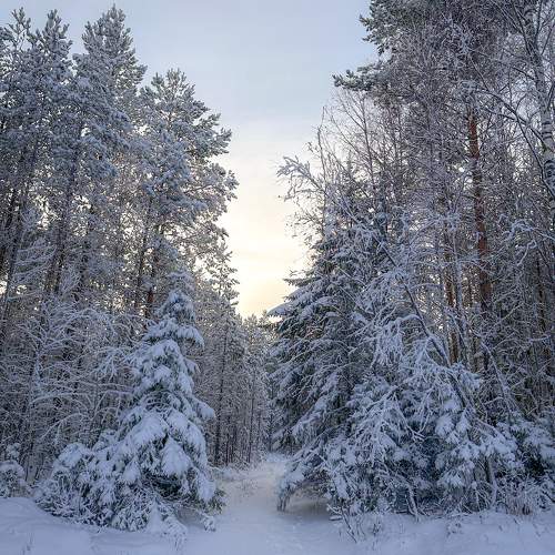 Photo #10049655