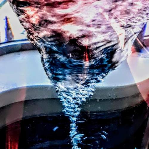 Photo #10049723