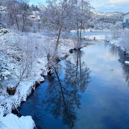 Photo #10049760