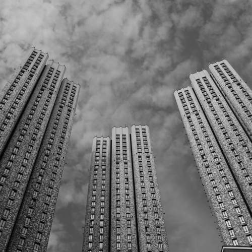 Photo #10049802