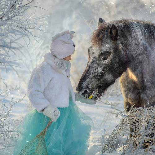 Фотография #10049918