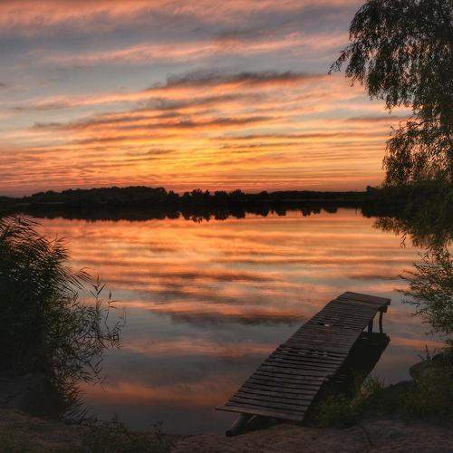 Photo #10049960
