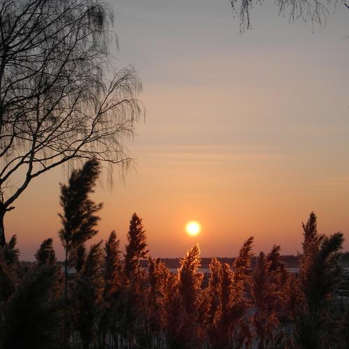 Photo #1006790