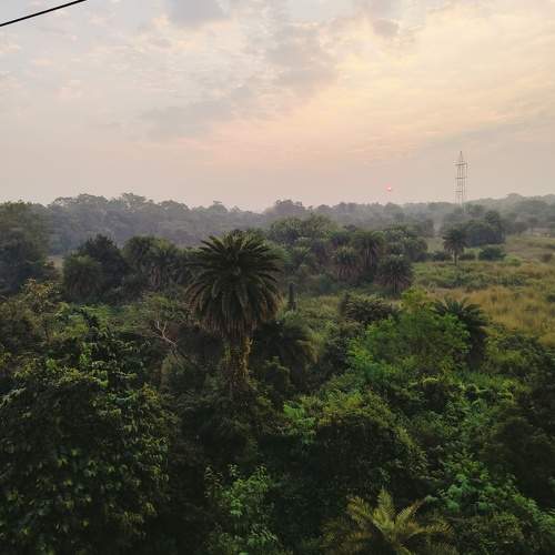 Photo #10050216