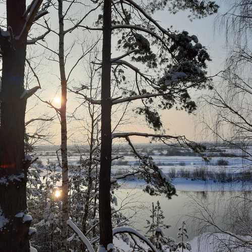 Photo #10050388