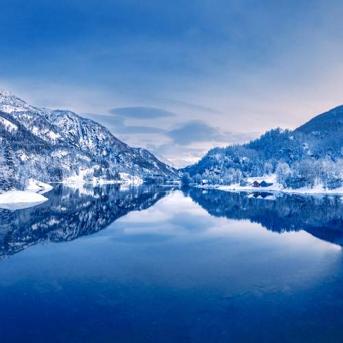 Photo #10050400