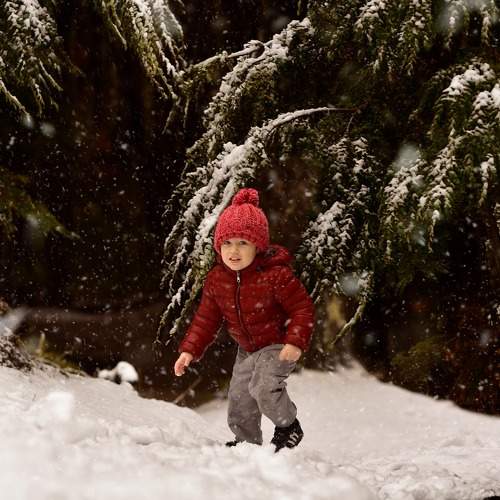 Photo #10050581