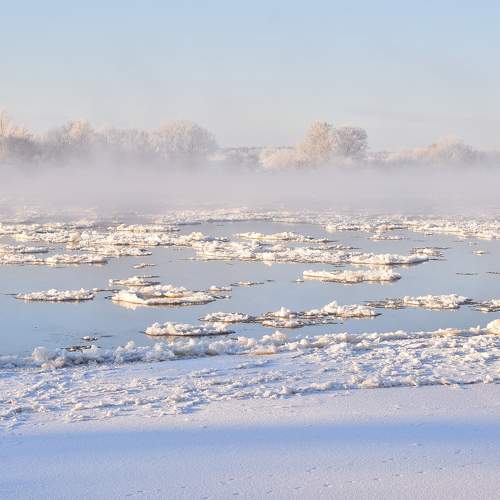 Photo #10050897