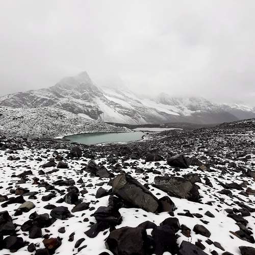 Photo #10051185