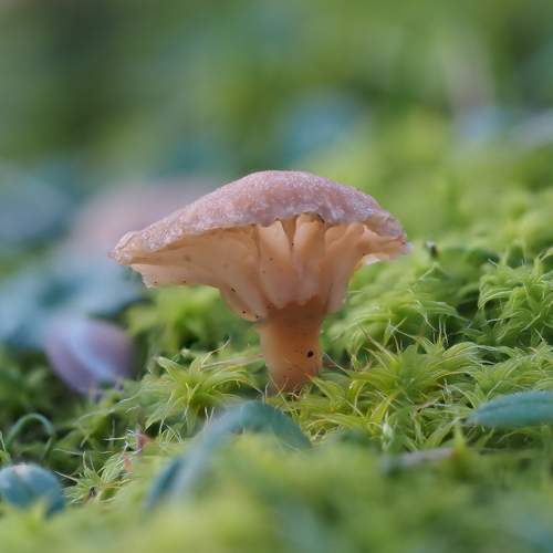 Photo #10051364