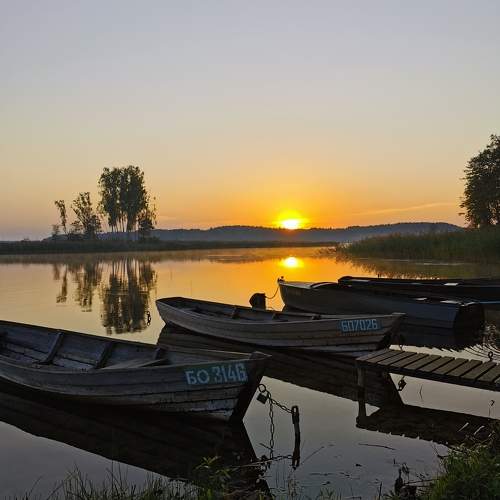 Photo #10051435
